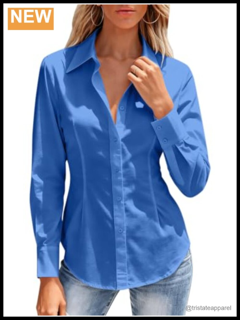 Women's Wrinkle Resistant Button Down Dress Shirt Long Sleeve Work Office Blouse